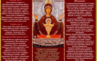 Святой вонифатий лечит алкоголизм лучше “неупиваемой чаши” - православные иконы и молитвы
