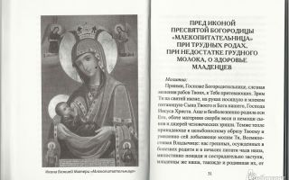 Молитва беременных о сохранении ребенка и о здоровье ребенка - православные иконы и молитвы