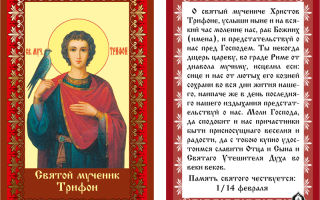 Молитва святому трифону о работе - православные иконы и молитвы