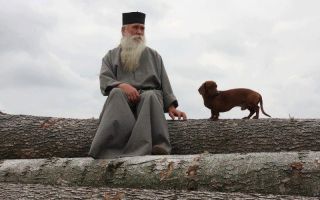 Почему собака нечистое животное в православии